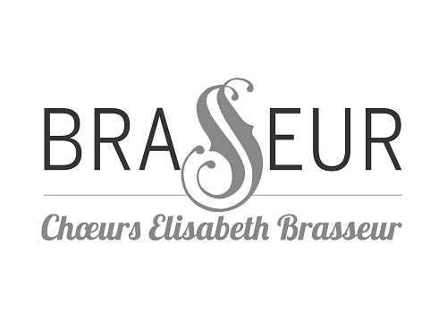 logo Brasseur Gris Big